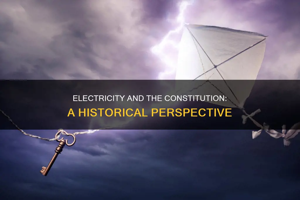 did we have electic when we wrlte the constitution