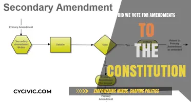 Amendments to the Constitution: Did We Vote?