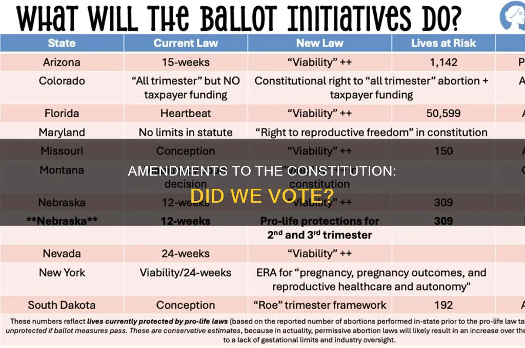 did we vote for amendments to the constitution