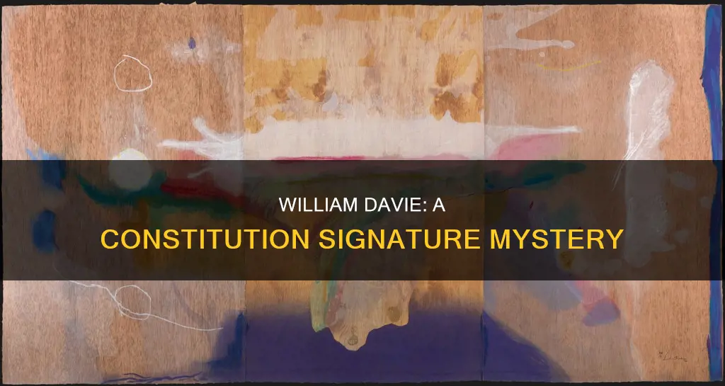 did william davie sign the constitution