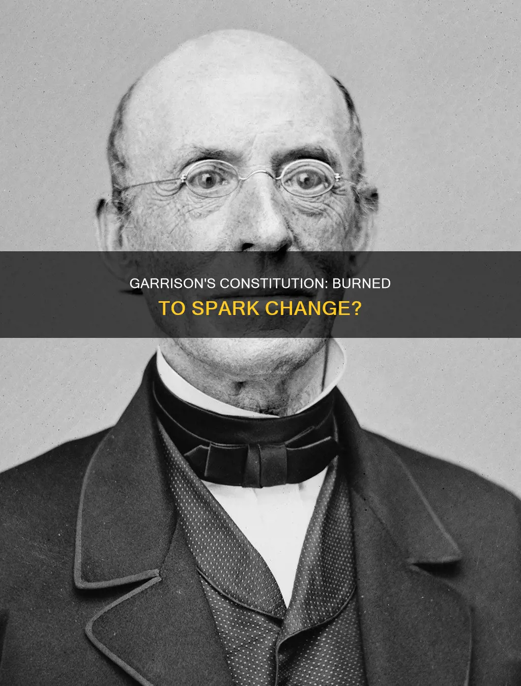 did william lloyd garrison burn the real constitution