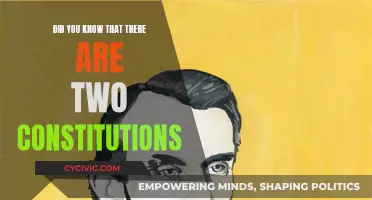 Two Constitutions: Exploring the Unknown Constitutional Twin