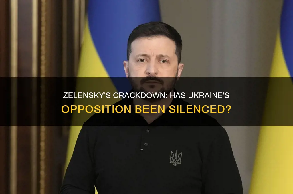 did zelensky ban political opposition