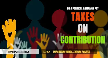 Political Campaigns: Taxing Contribution Woes