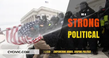 Building Strong Political Systems: Strategies for Stability and Effective Governance
