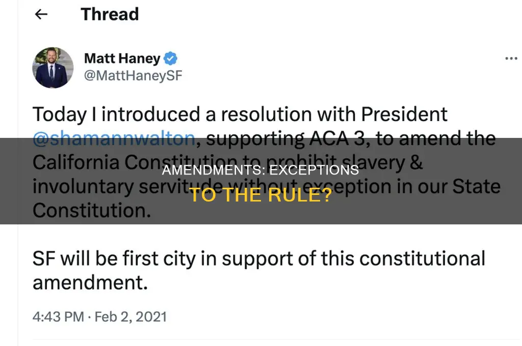 do a us constitution amendment have excepts