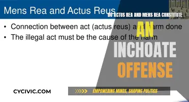 Mens Rea and Actus Rea: Inchoate Crime Explained