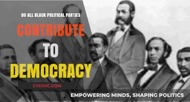 Black Political Parties: Enhancing Democracy or Dividing Electorates?