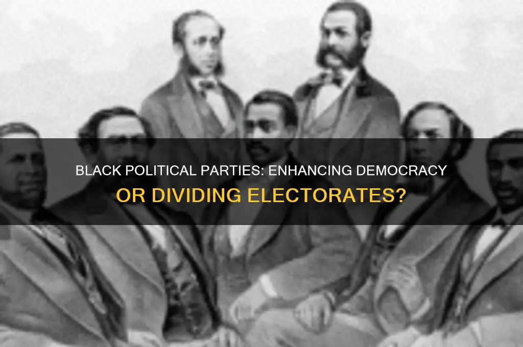 do all black political parties contribute to democracy