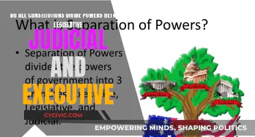 Dividing Powers: The Constitutional Trinity