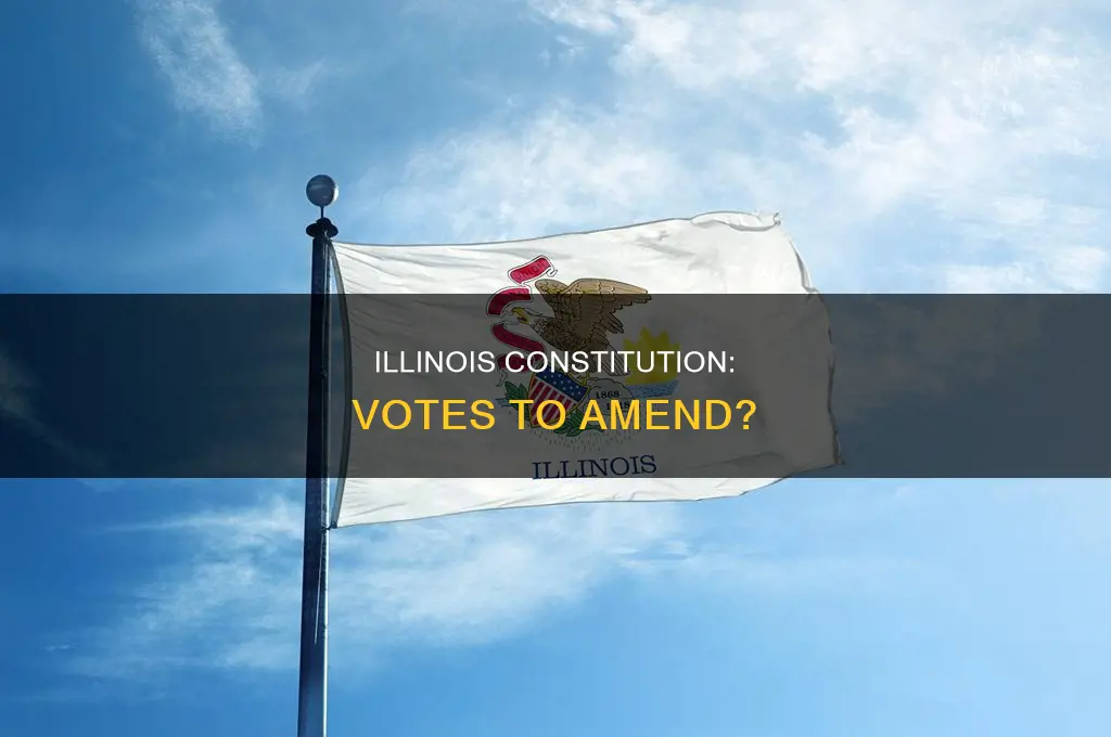 do amend the illinois constitution voters need to vote