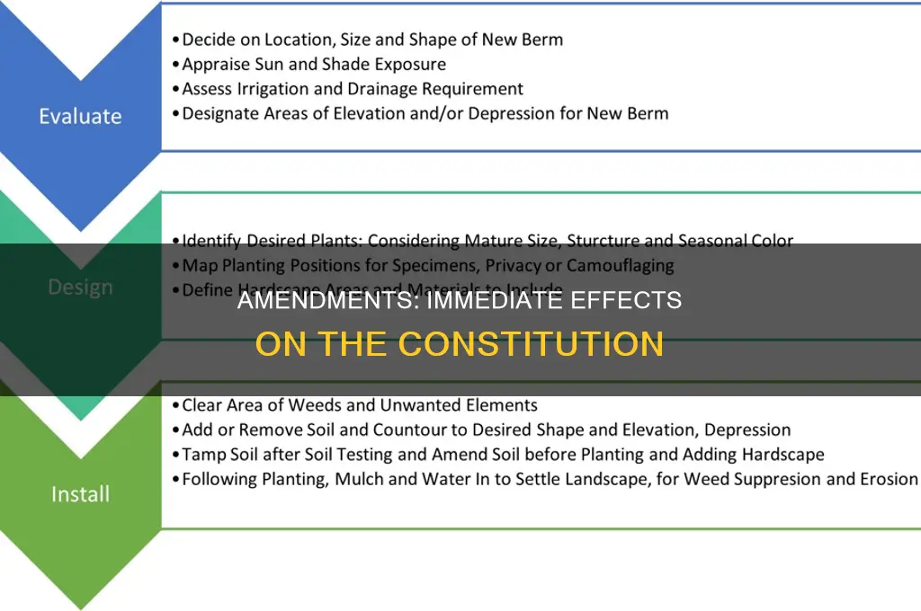 do amendments to the constitution take effect immediately