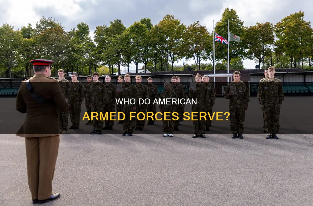 do american armed forces fight for constitution or flag