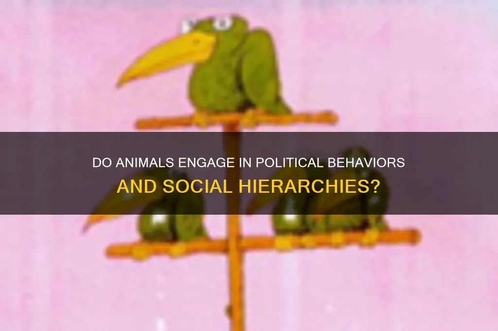 do animals have politics