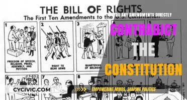 Amendments vs Constitution: Contradictory or Cohesive?