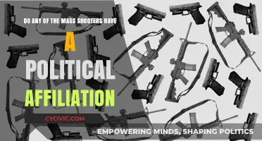 Unraveling the Political Links of Mass Shooters: A Comprehensive Analysis