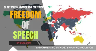 Exploring Freedom of Speech in Different Countries' Constitutions