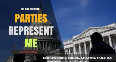 Finding Representation: Do Political Parties Truly Reflect Your Values?