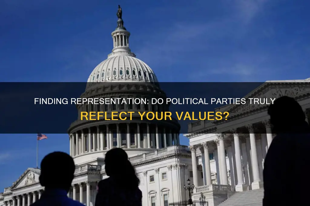 do any political parties represent me