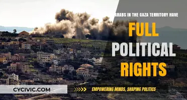Examining Political Rights in Gaza: A Complex Reality