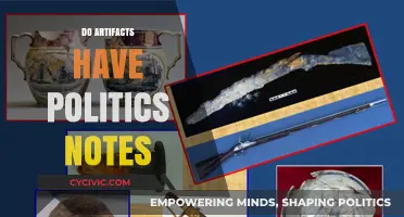 Artifacts and Politics: Unveiling Hidden Power Dynamics in Design