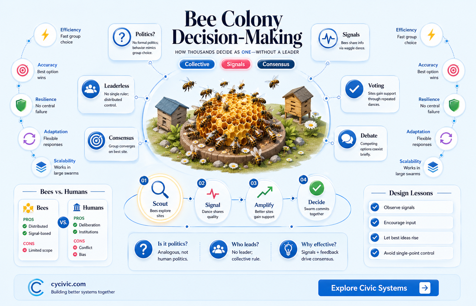 are bees political animals