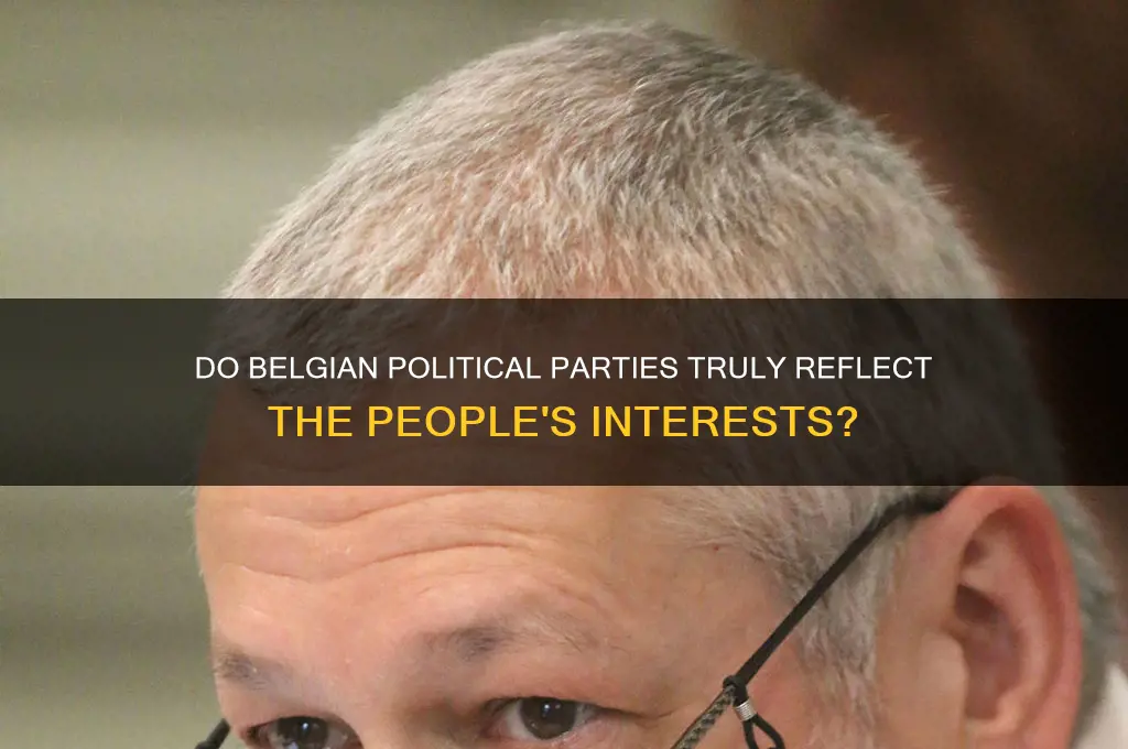 do belgian political parties represent the people