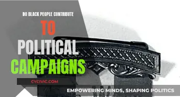 Black Political Campaign Contributions: Who Benefits?