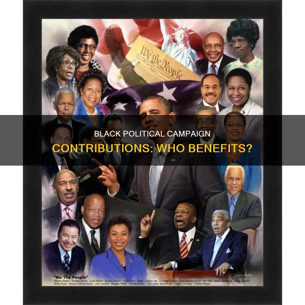 do black people contribute to political campaigns
