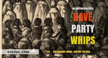Party Whips in British Politics: Their Role and Influence Explained