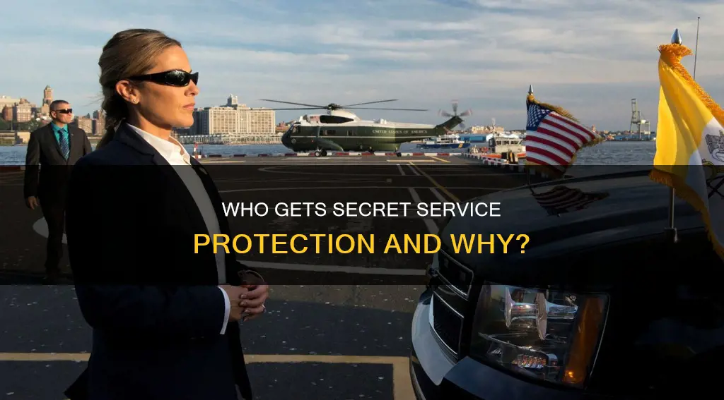 do cabinet members get secret service protection