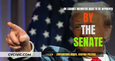 Who Approves Cabinet Members? The Senate's Role Explained