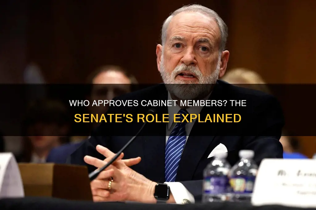 do cabinet members have to be approved by the senate