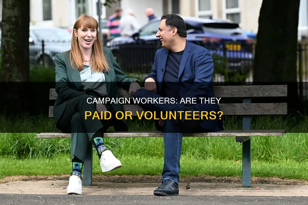 do campaign workers get paid