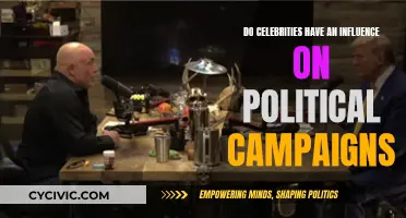 Celebrities' Political Influence: Campaigns and Voter Decisions