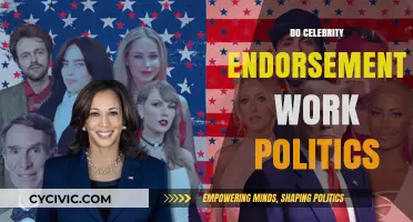 Celebrity Endorsements in Politics: Effective Influence or Empty Hype?