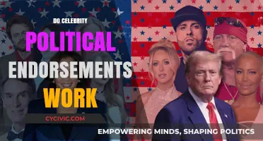 Do Celebrity Political Endorsements Influence Voter Decisions Effectively?