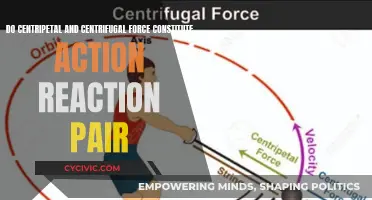 Centripetal and Centrifugal Forces: Action-Reaction Partners?