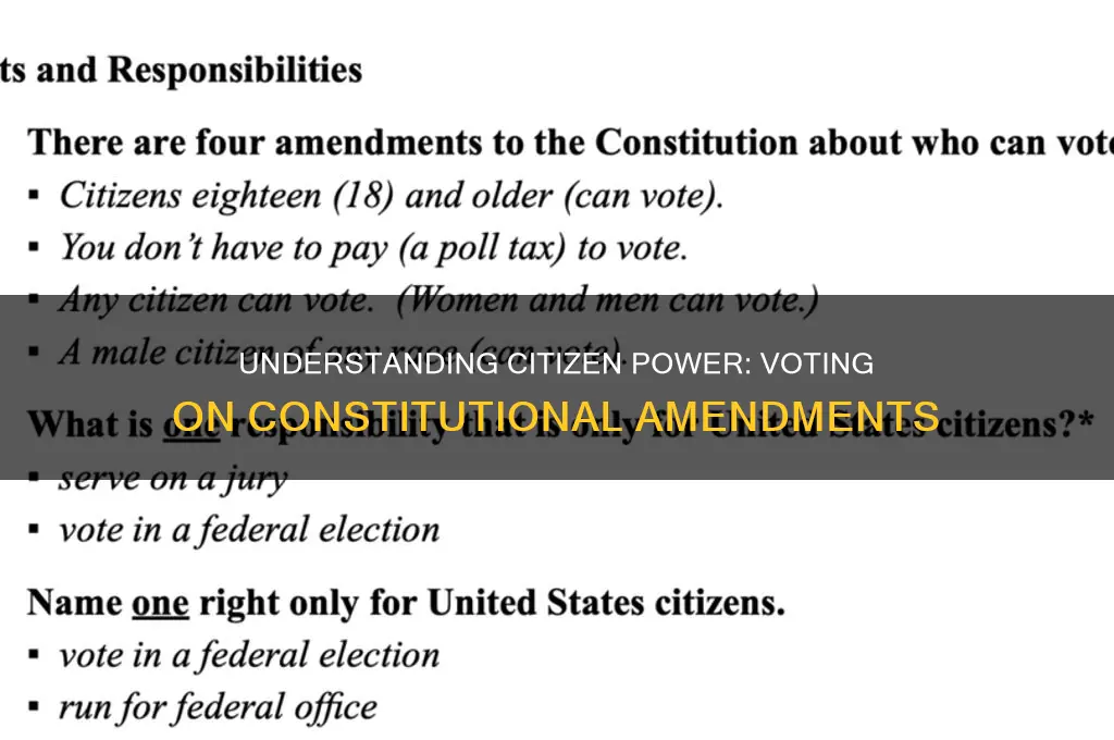 do citizens vote on constitutional amendments