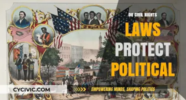 Do Civil Rights Laws Safeguard Political Freedoms?