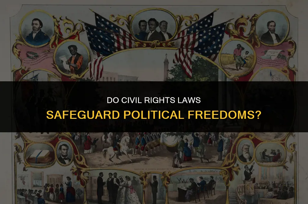 do civil rights laws protect political