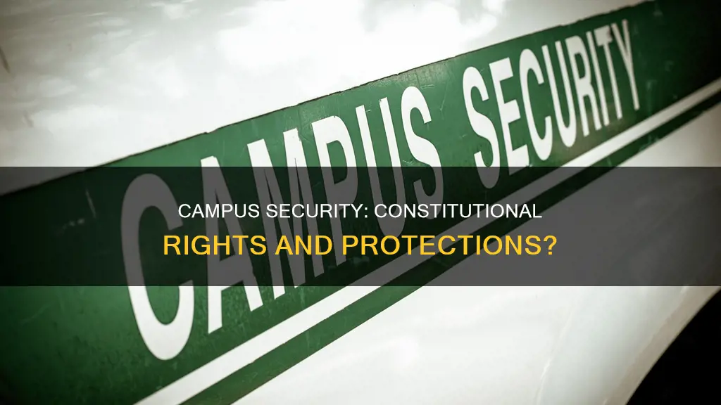 do college security have to follow constitutional procedure