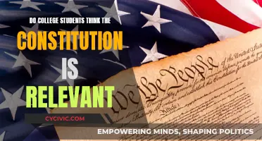 College Students' Views on Constitution's Relevance