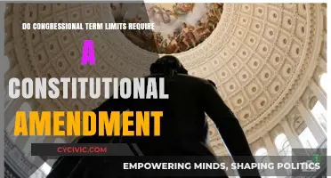 Term Limits: Constitutional Amendment Needed?