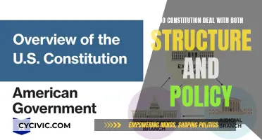 Constitutional Design: Structure and Policy