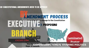 Executive Power: Can They Approve Constitutional Amendments?