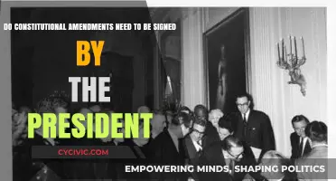 Who Holds the Pen on Constitutional Amendments?