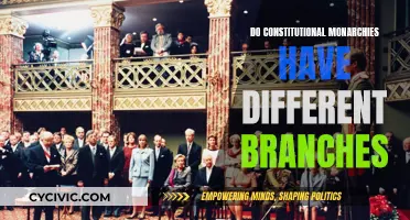 Constitutional Monarchies: Branches of Power Examined