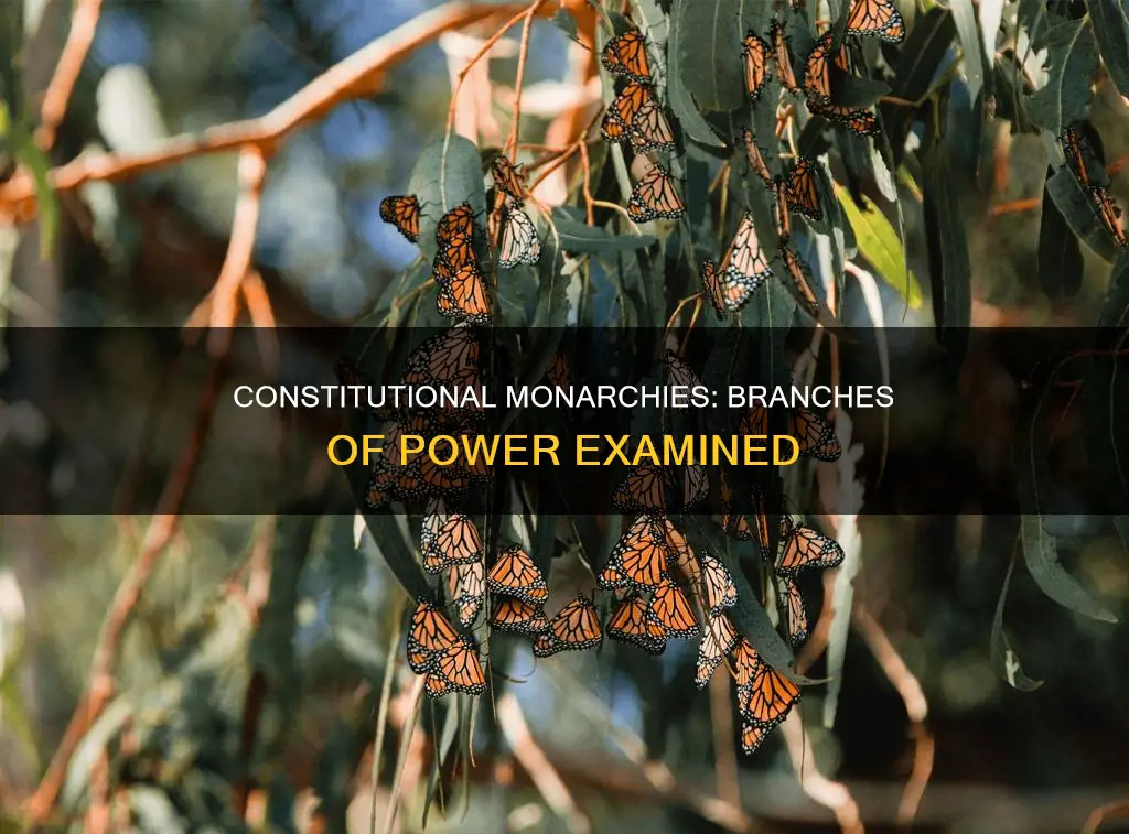 do constitutional monarchies have different branches