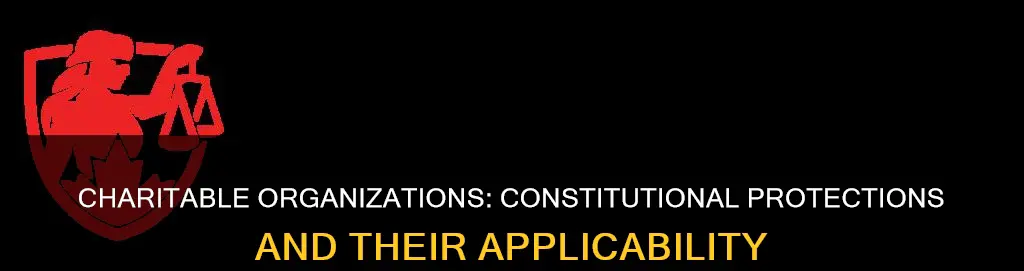 do constitutional protections apply to charitable organizations